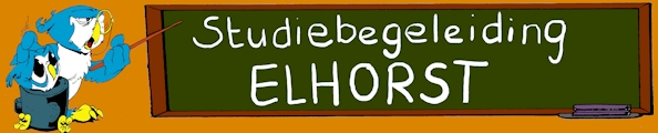 Elhorst Studiebegeleiding